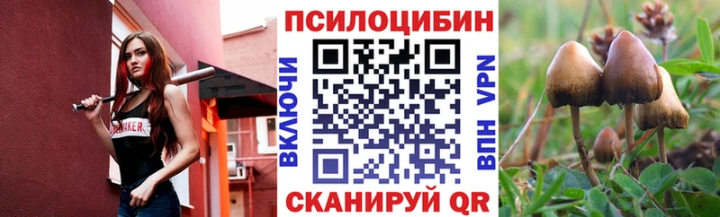Галлюциногенные грибы Psilocybine cubensis цена ссылка на мегу как зайти Старая Русса