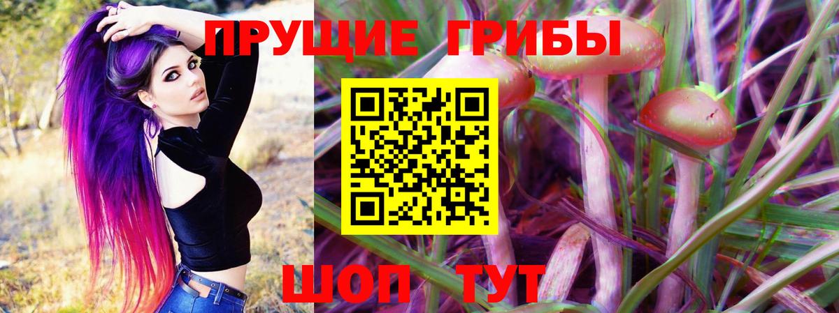Старая Русса  Псилоцибиновые грибы мицелий  Вход с VPN  наркотики  Галлюциногенные грибы Magic Shrooms 